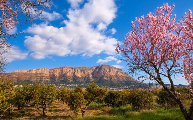 denia en primavera